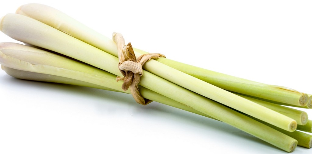 product_Lemongrass_1